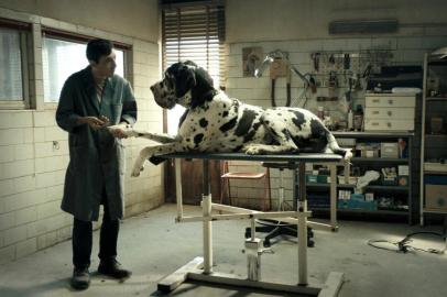 Dogman, filme de Matteo Garrone