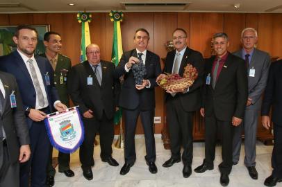 (Brasília - DF, 25/02/2019) Presidente da República, Jair Bolsonaro, durante reunião com Itacir Pedro Pozza, Presidente do Conselho de Administração da Cooperativa Vinícola Aurora.Foto: Marcos Corrêa/PR