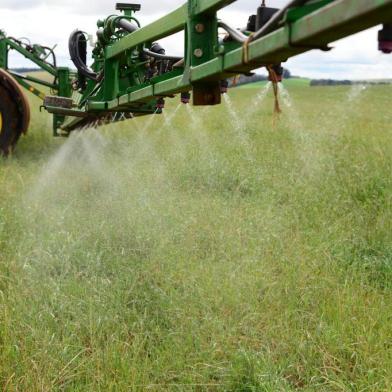  PASSO FUNDO, RS, BRASIL, 04/09/2018: Glifosato é usado na preparação do solo para o plantio de soja pelo sistema de cultivo direto.(FOTO: Diogo Zanatta / Especial )