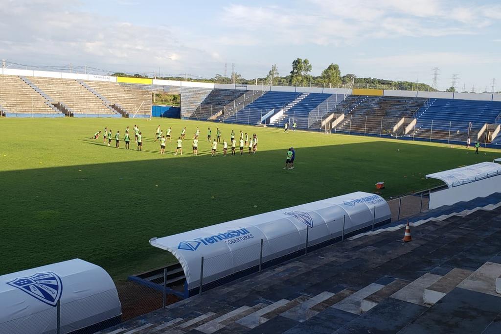 Cobra é capturada no gramado antes de jogo do Cruzeiro em Cachoeirinha -  Cachoeirinha - Correio de Gravataí