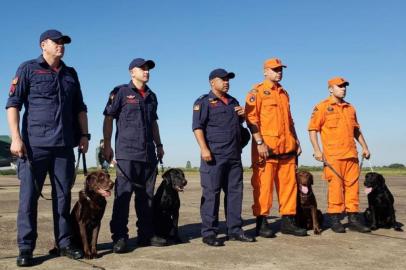 bombeiros gaúchos em brumadinho