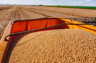  Cruz Alta, RS, BRASIL, 05/04/2018 : Campo e Lavoura - Colheita da Soja - Região Norte. (Omar Freitas/Agência RBS)Indexador: Omar Freitas