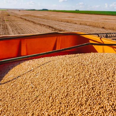  Cruz Alta, RS, BRASIL, 05/04/2018 : Campo e Lavoura - Colheita da Soja - Região Norte. (Omar Freitas/Agência RBS)Indexador: Omar Freitas