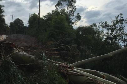 Temporal causa estragos no interior de Caxias do Sul 