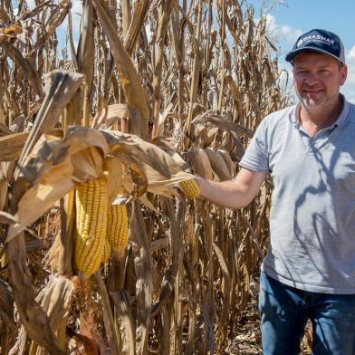  RONDA ALTA, engenheiro agrônomo Francisco Souilljee, 46 anos, propriedade da famíliaIndexador: Luis Iarcheski