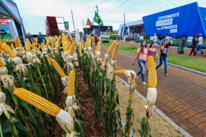  NÃO-ME-TOQUE, RS, BRASIL, 11/03/2019- Ambiental da expodireto. (FOTOGRAFO: OMAR FREITAS / AGENCIA RBS)