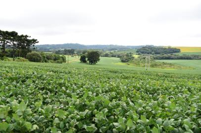  PASSO FUNDO, RS, BRASIL,27/02/2019-   Reforma da Previdência no campo em Passo Fundo.  (Foto: Diogo Zanatta / Divulgação)