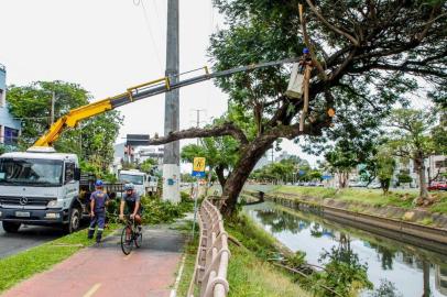 Código: 193319 - SMSURB - 13/03/2019 Equipes da SMSURB realizaram na tarde desta terça-feira (12), ação de poda de árvores na ciclovia da Av. Ipiranga, no trecho entre a Rua Múcio Teixeira e Av. Getúlio Vargas. Foto: Cristine Rochol/PMPA