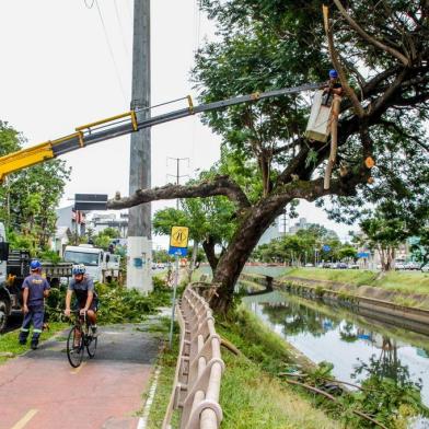 Código: 193319 - SMSURB - 13/03/2019 Equipes da SMSURB realizaram na tarde desta terça-feira (12), ação de poda de árvores na ciclovia da Av. Ipiranga, no trecho entre a Rua Múcio Teixeira e Av. Getúlio Vargas. Foto: Cristine Rochol/PMPA