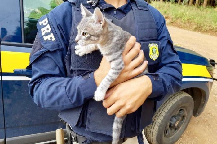 Polícia Rodoviária Federal / Divulgação