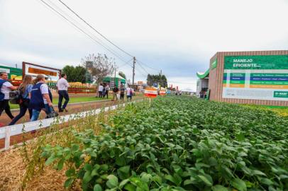 NÃO-ME-TOQUE, RS, BRASIL, 11/03/2019- Ambiental da expodireto. (FOTOGRAFO: OMAR FREITAS / AGENCIA RBS)