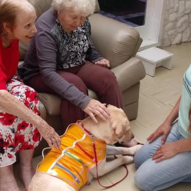 A equipe da Casa de Repouso Elisa Tramontina, em Carlos Barbosa, comemora os bons resultados de uma iniciativa implantada desde o fim do ano passado. Trata-se da pet terapia. Na foto, de vermelho: Julia Rodrigues, de cabelo cacheados: Neusa Ana Pondero de Souza e a Adestradora: Janaina Ganzer.