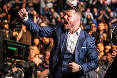 ufc, michael bisping