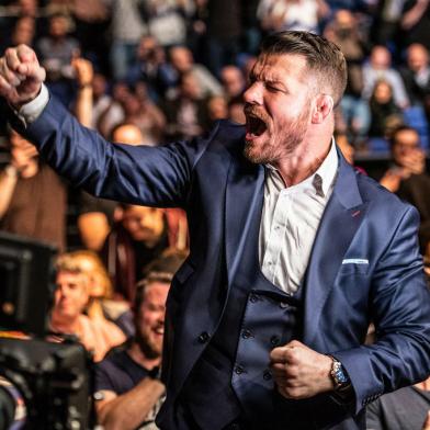 ufc, michael bisping