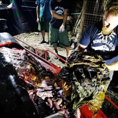 Uma baleia morreu de fome com 40 kg de resíduos de plástico em seu estômago depois que ela acabou encalhada nas Filipinas, anunciaram autoridades nesta segunda-feira.