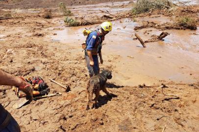  Força-Tarefa do Corpo de Bombeiros Militar de Santa Catarina é empregada para buscas em Brumadinho