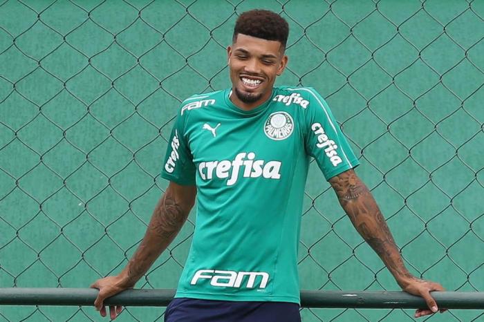 Palmeiras / Divulgação