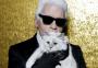 Choupette, a gata de Karl Lagerfeld, lança linha de roupas e acessórios