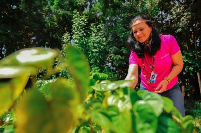  NÃO-ME-TOQUE,  RS, BRASIL, 15/03/2019- Horto de plantas bioativas. Na foto- Doriana Miotto. (FOTOGRAFO: OMAR FREITAS / AGENCIA RBS)