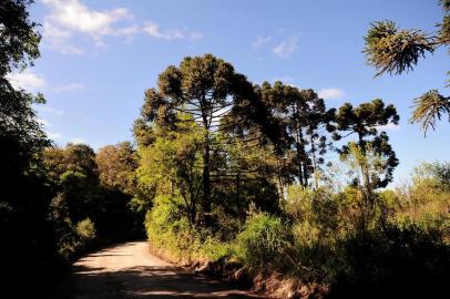  CAXIAS DO SUL, RS, BRASIL, 16/10/2018. Ambiental de clima em Caxias. (Diogo Sallaberry/Agência RBS)