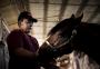 VÍDEO: jovem gaúcho vencedor de diversas provas de tiro de laço ganha cavalo de raça