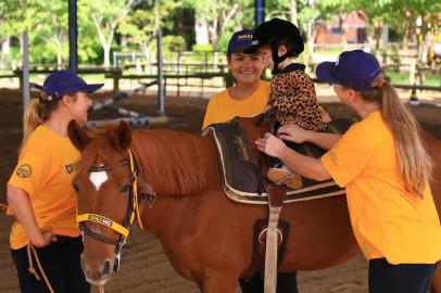  PORTO ALEGRE -RS - BR - 28.03.2019 Instituto Cavalo Amigo busca parceiros.FOTÓGRAFO: TADEU VILANI AGÊNCIA RBS