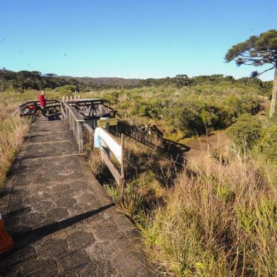  CAMBARÁ DO SUL, RS, BRASIL 27/06/2018Situação dos parques dos cânios de Cambará do Sul. Na foto: Cânion Itaibenzinho. (Felipe Nyland/Agência RBS)Indexador: Felipe Nyland