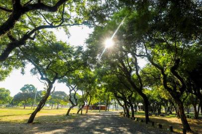  PORTO ALEGRE, RS, BRASIL, 03/04/2019: Parque Maurício Sirotski Sobrinho - Parque Harmonia. (Foto: Omar Freitas / Agência RBS)