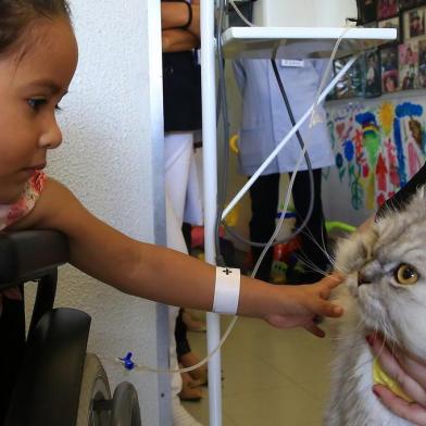  PORTO ALEGRE -RS - BR 04.04.2019Hospital São Lucas da PUCRS receberá a visita do Ariel, o gato terapeuta. Ele estará acompanhado pela fisioterapeuta Thayana Dellagustin.Gato Ariel interagindo com a criança Sophia da Rosa.FOTÓGRAFO: TADEU VILANI AGÊNCIA RBS