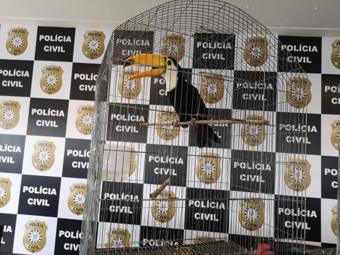 Polícia Civil