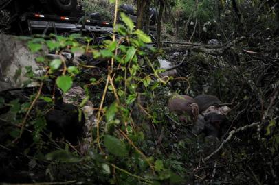  CAXIAS DO SUL, RS, BRASIL, 07/04/2019Dias pós acidente na curva da morte na ERS 122, o caminhão e os animais ainda estão no local. O acidente foi no km 47 entre São Vendelino e Nova Milano. (Lucas Amorelli/Agência RBS)