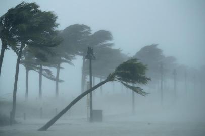 FORT LAUDERDALE, FL - SEPTEMBER 10: Trees bend in the tropical storm wind along North Fort Lauderdale Beach Boulevard as Hurricane Irma hits the southern part of the state September 10, 2017 in Fort Lauderdale, Florida. The powerful hurricane made landfall in the United States in the Florida Keys at 9:10 a.m. after raking across the north coast of Cuba.   Chip Somodevilla/Getty Images/AFP