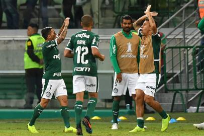 dudu, palmeiras, futebol