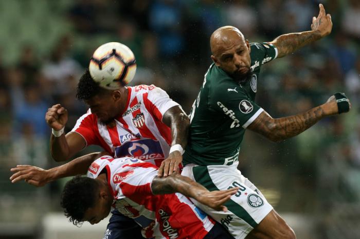 Divulgação Palmeiras