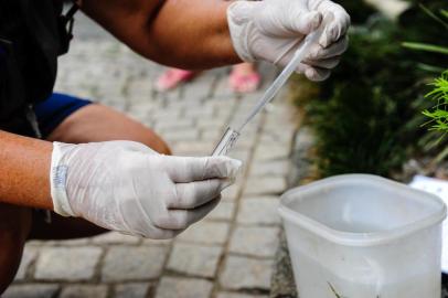  JOINVILLE,SC,BRASIL,09-01-2019. Cresce número de focos do mosquito da dengue em Joinville, agente da vigilância faz vista em casa. (Foto:Carlos Junior)