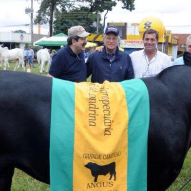 O ex-vice-governador José Paulo Cairoli, 67 anos, está cuidando dos seus negócios na Fronteira. Recentemente, realizou um leilão de gado Angus em Londrina, no Paraná: ¿Foi o melhor dos últimos tempos¿, comemora. A boa safra de soja também anima Cairoli, que se diz aliviado depois do fim do mandato. 