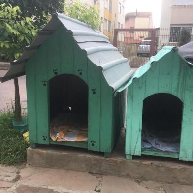 Prefeitura obriga moradores a remover casinhas que abrigam cães comunitários em Porto Alegre