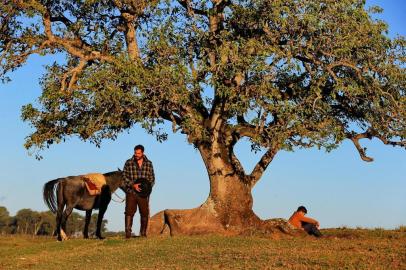  BAGÉ, RS, BRASIL, 12/04/2019- Filmagens do longa  Além de Nós  que ocorreram em Bagé. (FOTOGRAFO: JÚLIO CORDEIRO / AGENCIA RBS)