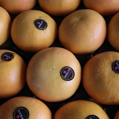  PORTO ALEGRE-RS- BRASIL- 15/04/2019- Frutas exóticas distribuídas pela CEASA. Frutas e legumes comercializados pepa Dico Comercial de Frutas e Legumes, A3. O pomelo (Citrus maxima), também chamada laranja-natal, cimboa ou toranja (na verdade toranja é outra fruta) é uma fruta cítrica, fruto de uma árvore da família Rutaceae com 5 a 8 m de altura que vegeta e produz satisfatoriamente em regiões das mais variadas condições ecológicas.    FOTO FERNANDO GOMES/ ZERO HORA.