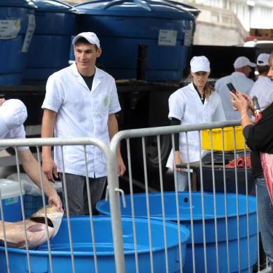  CAXIAS DO SUL, RS, BRASIL, 16/04/2019Os três maiores municípios da Serra realizam Feira do Peixe Vivo nos próximos dias. A comercialização, tradicional por causa da Sexta-feira Santa, inicia na terça-feira (16) em duas cidades. Em Caxias do Sul, as vendas serão na Praça Dante Alighieri, entre 8h e 18h, até a próxima quinta-feira (18). Participam oito feirantes, com projeção de venda de 27 toneladas de peixe. Serão comercializadas as espécies carpa-capim, húngara, cabeça-grande e prateada, jundiá, bagre e tilápia. Os preços variam de R$ 10 a R$ 16 o quilo.  (LUCAS AMORELLI/AGÊNCIA RBS)