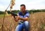 Jovens lideram adoção de sistemas de informação inteligentes na agricultura