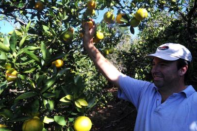  CAXIAS DO SUL, RS, BRASIL (10/04/2019)Produtores da Serra começam a colheita da laranja. Na foto, Eleandro Razadori, em Caravaggio da Terceira Légua. (Antonio Valiente/Agência RBS)