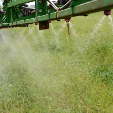  PASSO FUNDO, RS, BRASIL, 04/09/2018: Glifosato é usado na preparação do solo para o plantio de soja pelo sistema de cultivo direto.(FOTO: Diogo Zanatta / Especial )