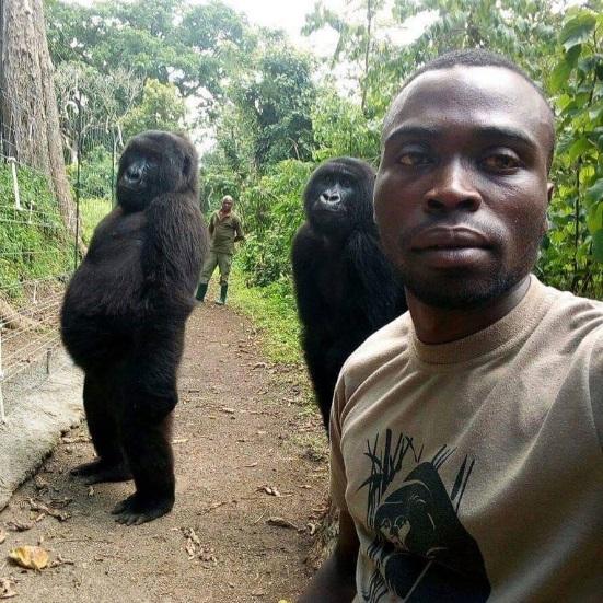 Virunga National Park / Facebook/Divulgação