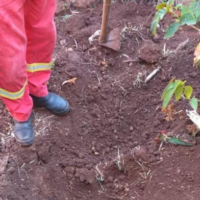 Marido de 76 anos é preso suspeito de matar e enterrar companheira no pátio de casa