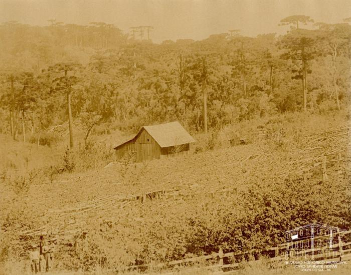 Acervo Arquivo Histórico Municipal João Spadari Adami / divulgação