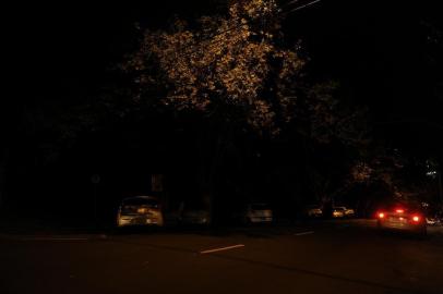  CAXIAS DO SUL, RS, BRASIL, 24/04/2019 - Furto de fios deixa parte do parque dos Macaquinhos as escuras. (Marcelo Casagrande/Agência RBS)