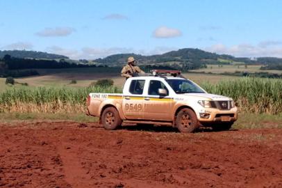  CAMPINA DAS MISSÕES - Policiais continuam as buscas por ladrões de banco no Noroeste. 