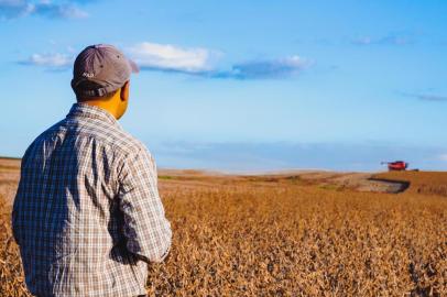  Cruz Alta, RS, BRASIL, 05/04/2018 : Na foto: Diogo Braga Librelotto, produtor em Cruz Alta.  Campo e Lavoura - Colheita da Soja - Região Norte. (Omar Freitas/Agência RBS)Indexador: Omar Freitas