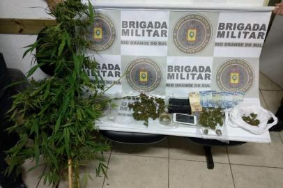 BM apreende pés de maconha em moradia de Farroupilha